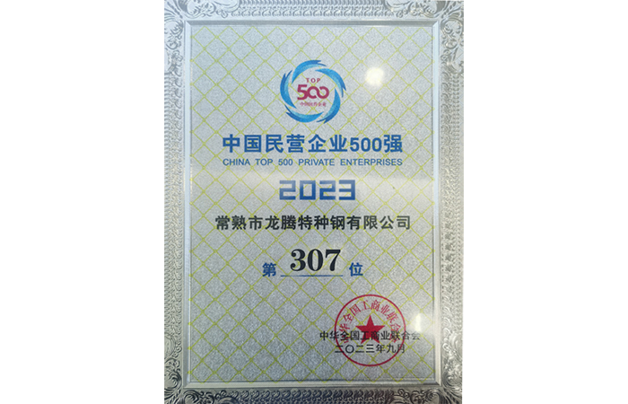 2023年中国民間企業トップ500社中307位